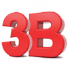 3B