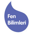 Fen Bilimleri