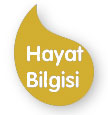 Hayat Bilgisi