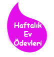Haftalık Ev ödevleri